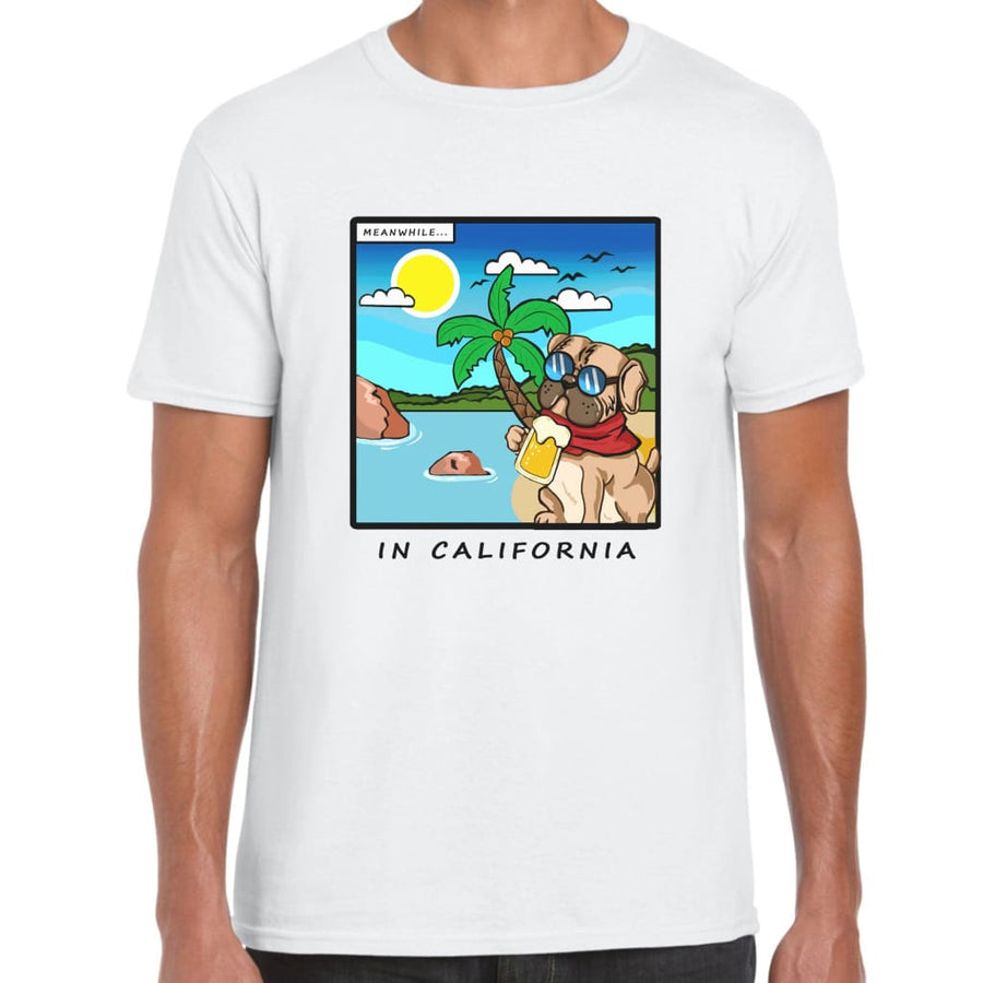 Meanwhile in California T-shirt