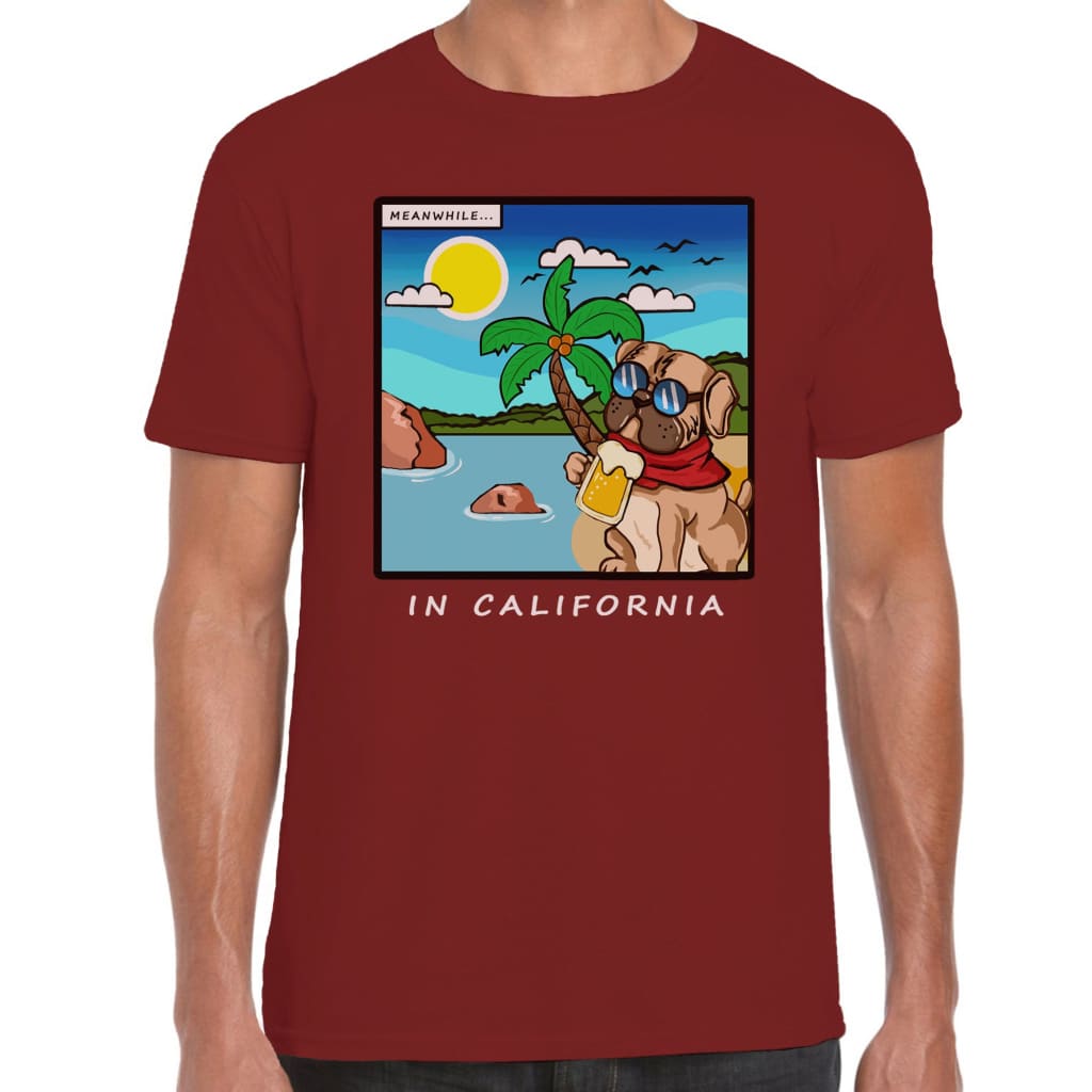Meanwhile in California T-shirt