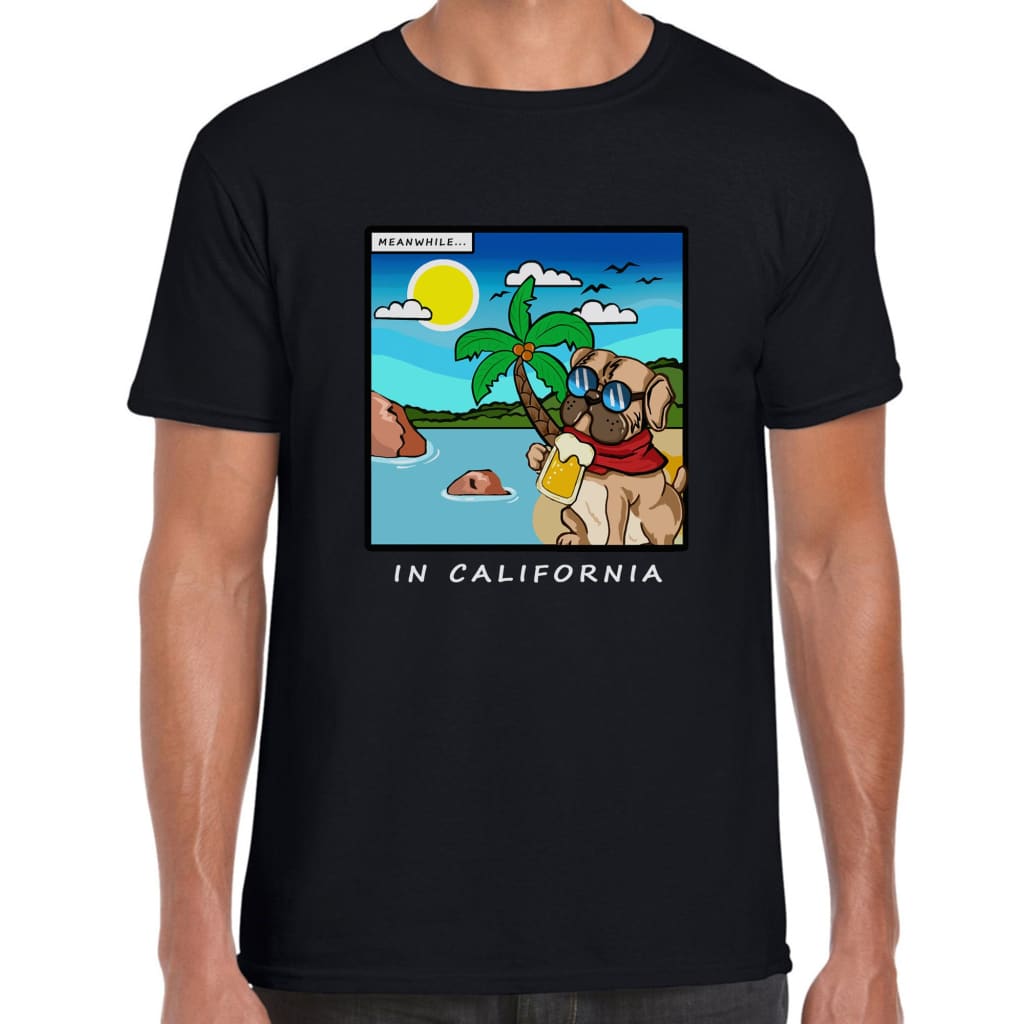 Meanwhile in California T-shirt